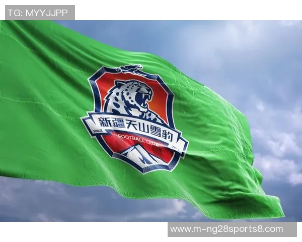 新疆雪豹足球队奋勇拼搏展现团队精神助力中国足球崛起